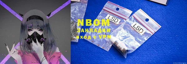 хмурый Белокуриха