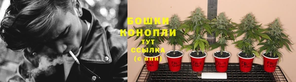 СК Беломорск