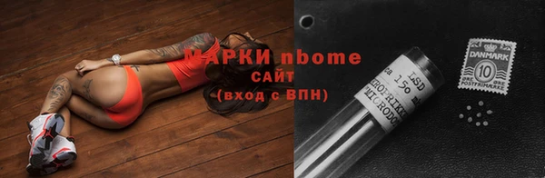 хмурый Белокуриха