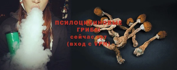 СК Беломорск