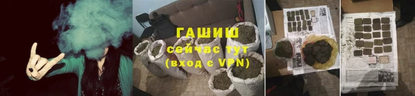 хмурый Белокуриха