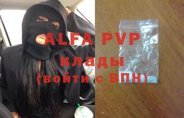 хмурый Белокуриха