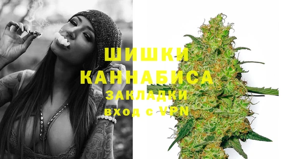 хмурый Белокуриха