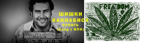 хмурый Белокуриха