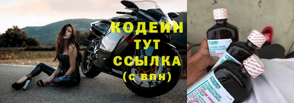 хмурый Белокуриха