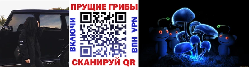 Галлюциногенные грибы MAGIC MUSHROOMS  купить закладку  Норильск 